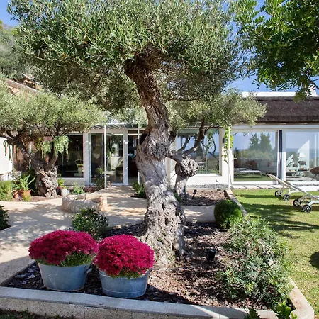 Love Garden Bolonia Exterior photo