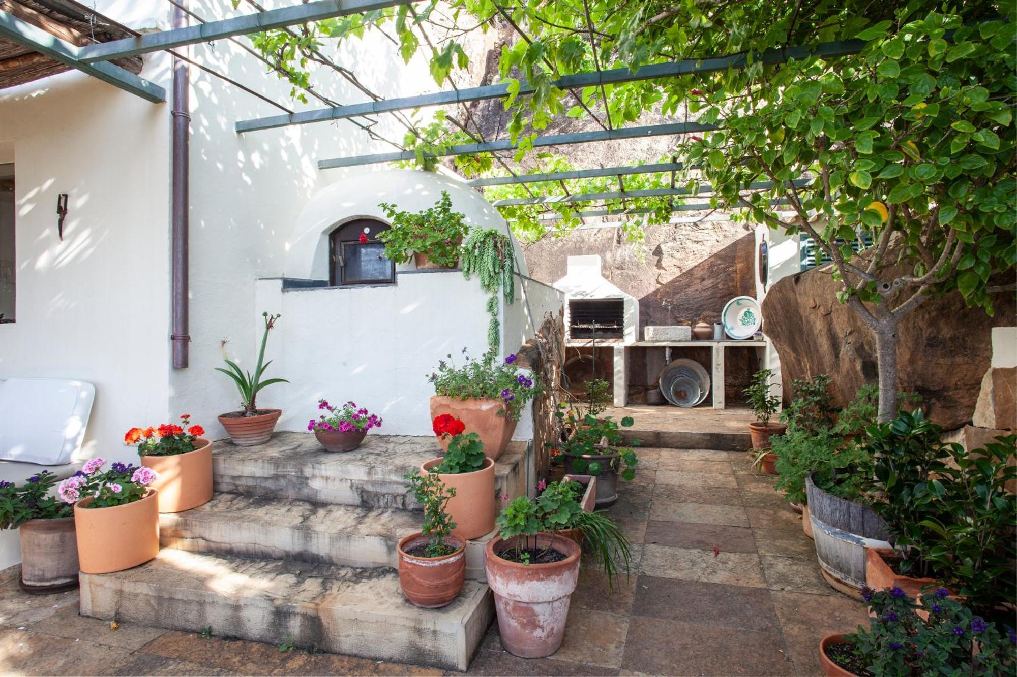 Garden *