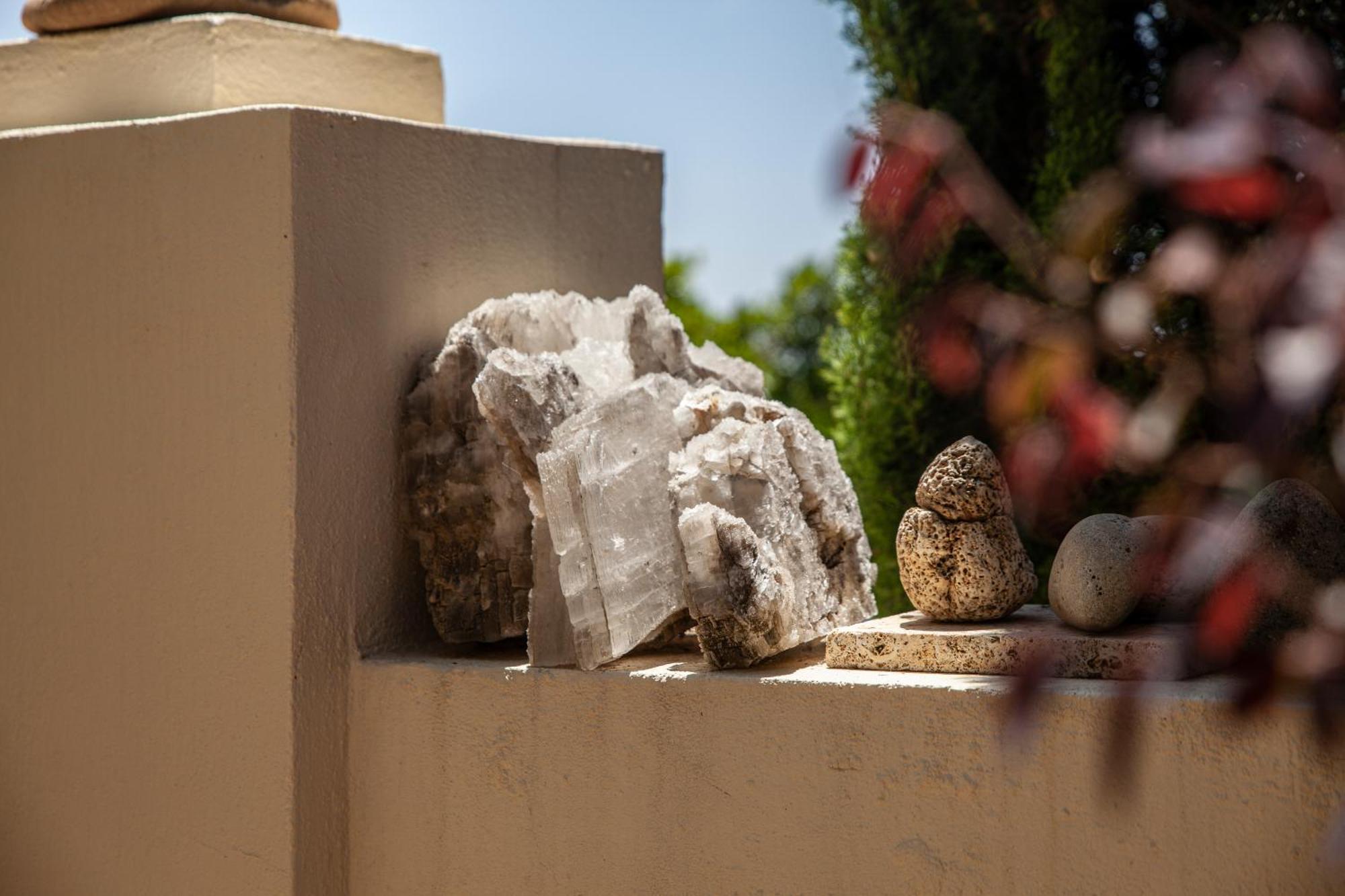 El Cañuelo Bolonia